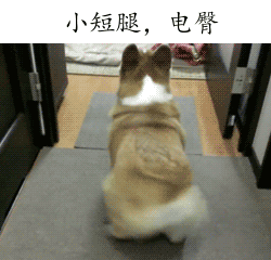 吃货的力量,我们不容小觑...你是吃货吗