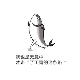 维嘉回应表情包咸鱼