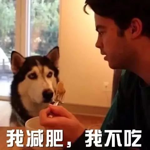 收好了狗年表情包大全有了这些,过年斗图不再怕