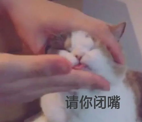 找老公一定要擦亮眼