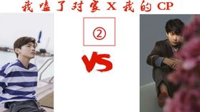 我嗑了对家x我的cp2