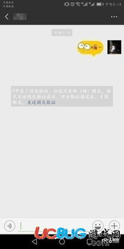 微信怎么查看对方是否把自己删除