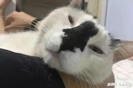 这个显眼包没解决前,新晋油王就是你