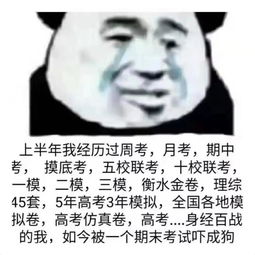 微信朋友圈可以斗图了这些期末考试表情包高能预警