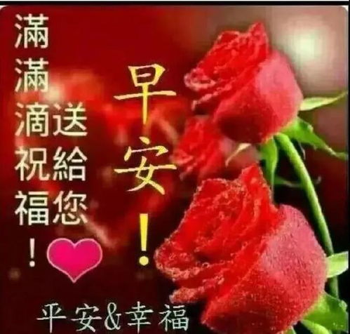 朋友圈新版漂亮很火早安图片带字祝福语微信群发早上好图片