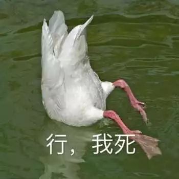 从最近大火的延禧攻略,八一八影视剧里那些看到爽翻天的怼人桥段