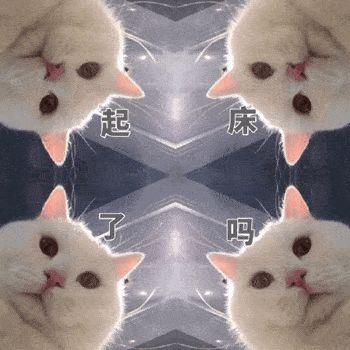 这些谣言,正在毁掉14亿国人的健康睡眠