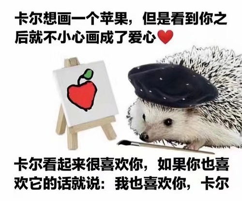 碗碗盆盆