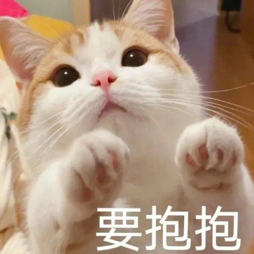 要抱抱表情包