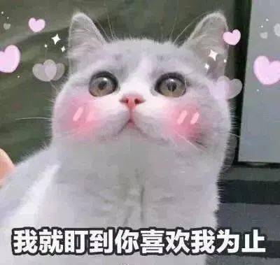 小仙女表情包用起来