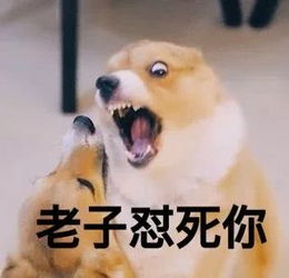 醉了别人实验室出文章,我们实验室出段子
