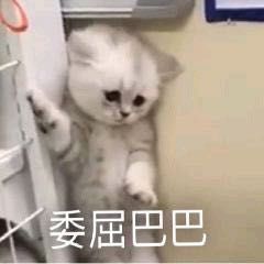英国留学tier4签证被拒了看看你是否有下面的问题