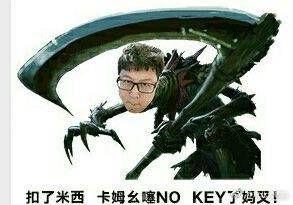 你们喜欢东北大鹌鹑的哪些表情包
