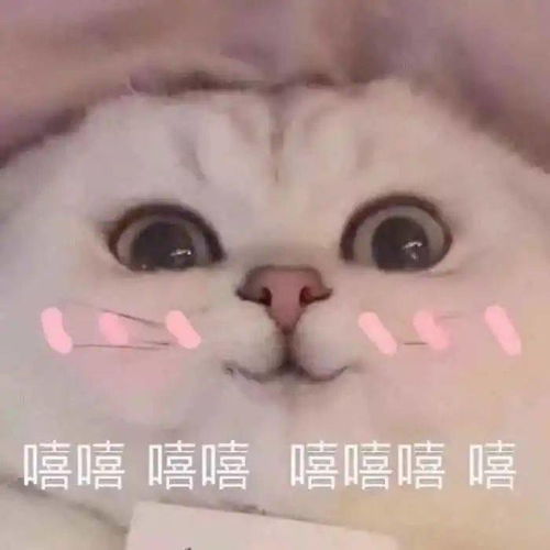 微信表情包上限变成999,快贡献出你的表情包威胁.jpg