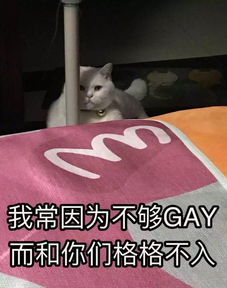 聊天秘籍表情包聊骚
