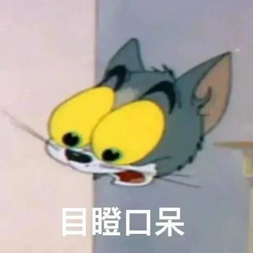 聊天pk表情包160