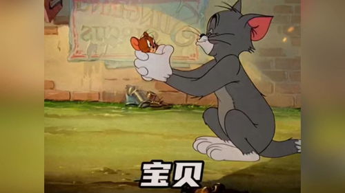 表情包猫和老鼠表情包快艾特你兄弟一起发给对象吧