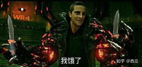 你最喜欢的一些表情包有哪些