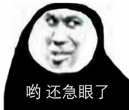 大家有可怜中透着一丝丝搞笑的舔狗语录吗