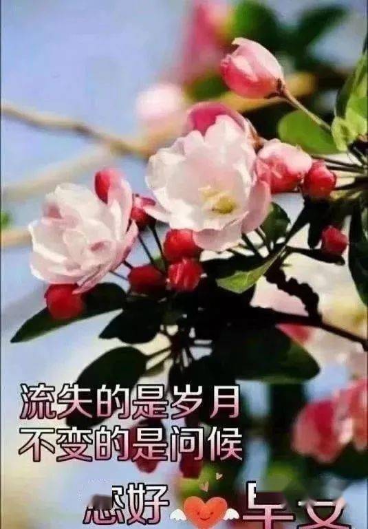 2020秋天清晨微信群发给朋友的祝福语,早上好优美的图片带字