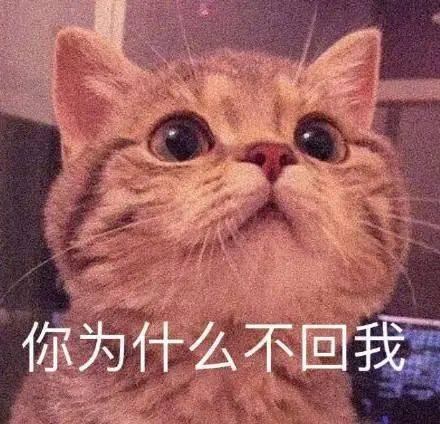 无水印表情包
