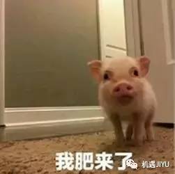 哎呦喂说说你们的网购名,比伤心猪大肠还溜吗