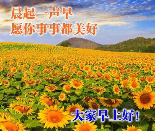 漂亮早上好动态表情图片,最温馨早上好问候动态图片带字