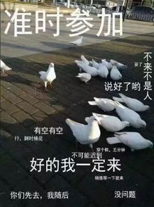 爱骑车的你脾气一定好毕竟烦心事真的多