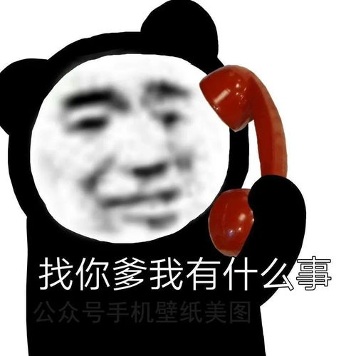 表情包动图2020热门表情包大全
