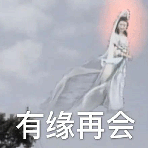 表情包微信聊天套路表情包小动物表情包可爱喵星人表情包