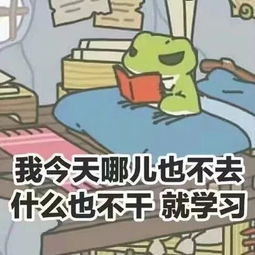起床了宝贝表情包起床