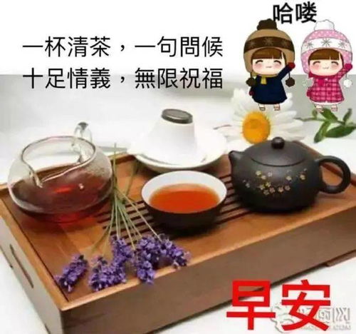微信群发温馨的早上好问候短信句子最新早上好表情包问候的句子动态图片