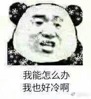 熊猫人比冷表情包下载操你妈,老子才是最冷熊猫人比冷表情包高清无水印极光下载站