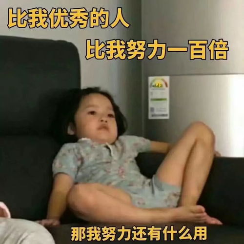 这里可查到期末考成绩