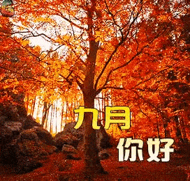 不用打字聊天的早上好动画表情包,最新群发早安问候祝福动态表情图片