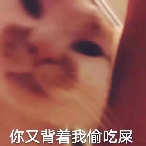 抖音热门表情包别聊了你看你都绿成啥样了
