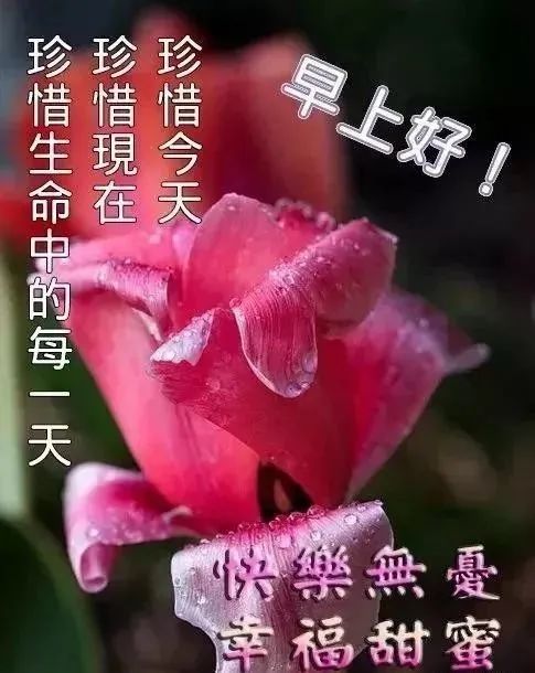 微信朋友圈好看早上好问候语表情图片最新微信漂亮的早上好动态图片