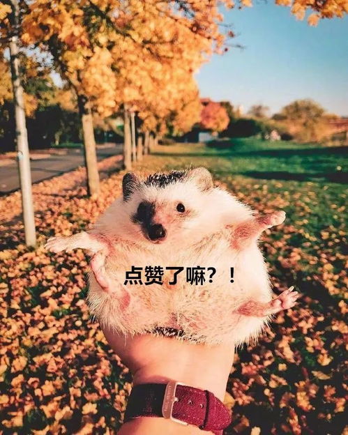 每日一笑,永远不要和商人斗智斗勇...