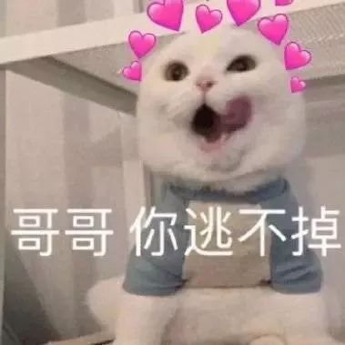 表情包今日份表情包