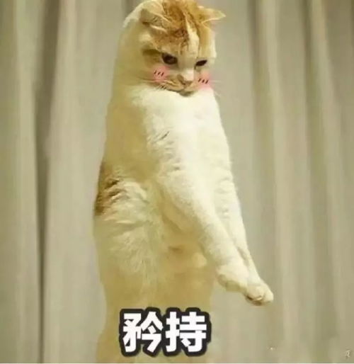 大年三十聊一聊过去一年来律师的生活