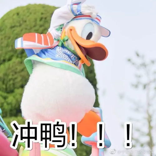 她感动了上海,也感动了你我,她是谁