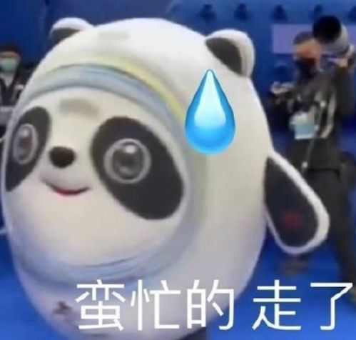 最强攻略原价买冰墩墩的最全方法都在这儿了
