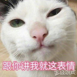 微信杜蕾斯表情包猫咪