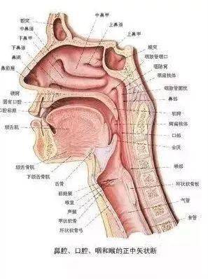 癌症也是有预警的这些部位不舒服,一定得去医院瞧瞧