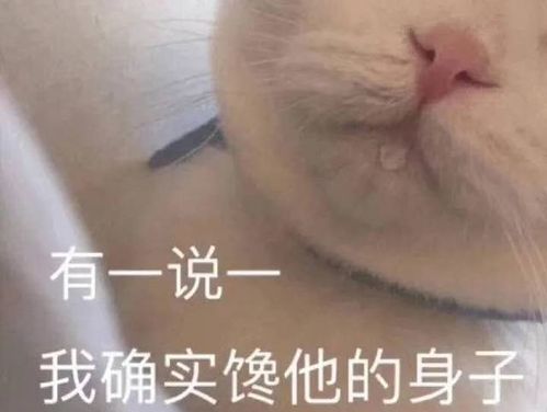 因为捡到一个钱包意外脱单,这是什么神仙剧情啊