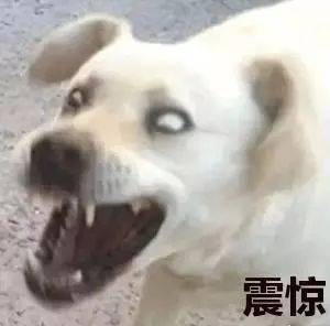 和王思聪分手后,她的颜值怎么变成这样了