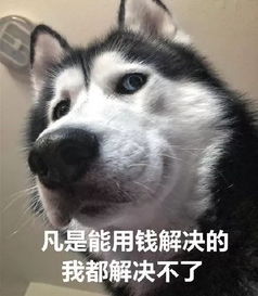 冲鸭带大家刷新对白菜价好物的新认知第二件6.9折哦