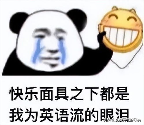 每天1.5h,雅思阅读5.59分经验分享