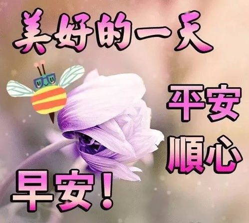 微信早上好图片表情祝福星期天最新版早安问候语阳光句子
