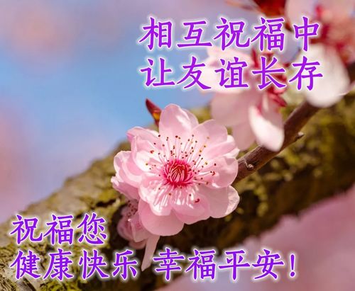 美好的早上好动态祝福图片朋友间问候的动态表情包
